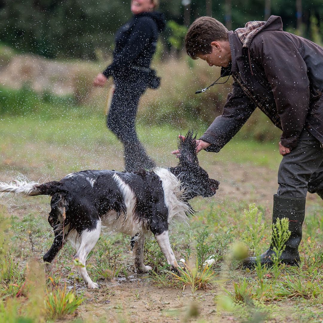 Je hond brengt het apport niet terug: waar gaat het mis?